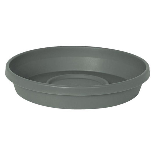 PLANT SCR TRA BSL RND 4"