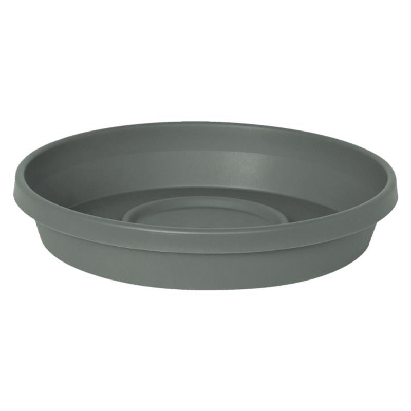 PLNT SCR TR GRN 11.25"