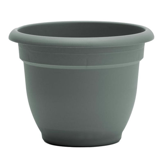 Bloem Ariana 5.25 in. H X 6.5 in. W X 6 in. D Plastic Traditional Planter Basil
