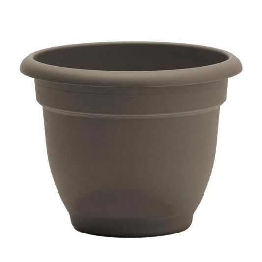 PLNTR ARIANA PEPRCRN 6"