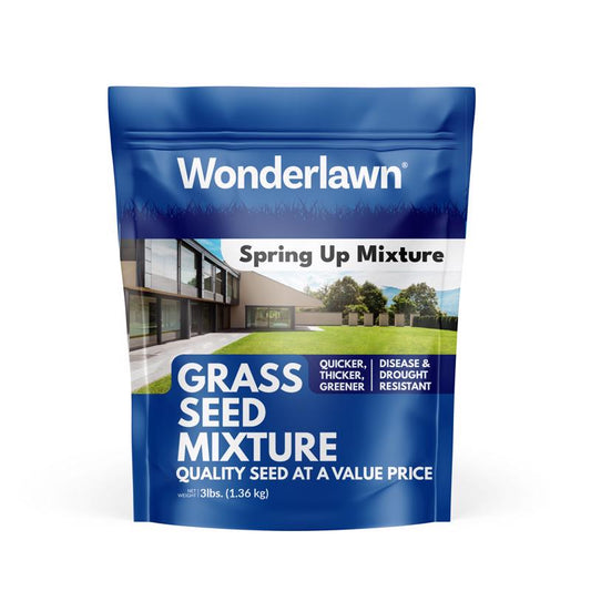 SEED GRASS SPRINGUP 3#