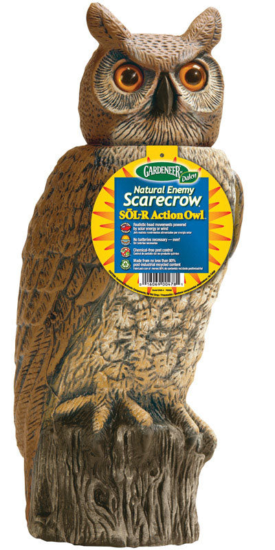 SOL-R ACTION OWL