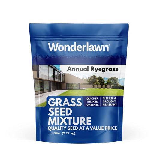 ANNUAL RYEGRASS 5LB