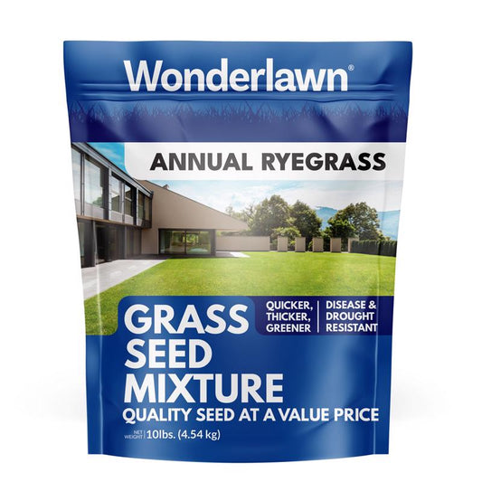 GRASS SD ANNL RYEGRS 10#