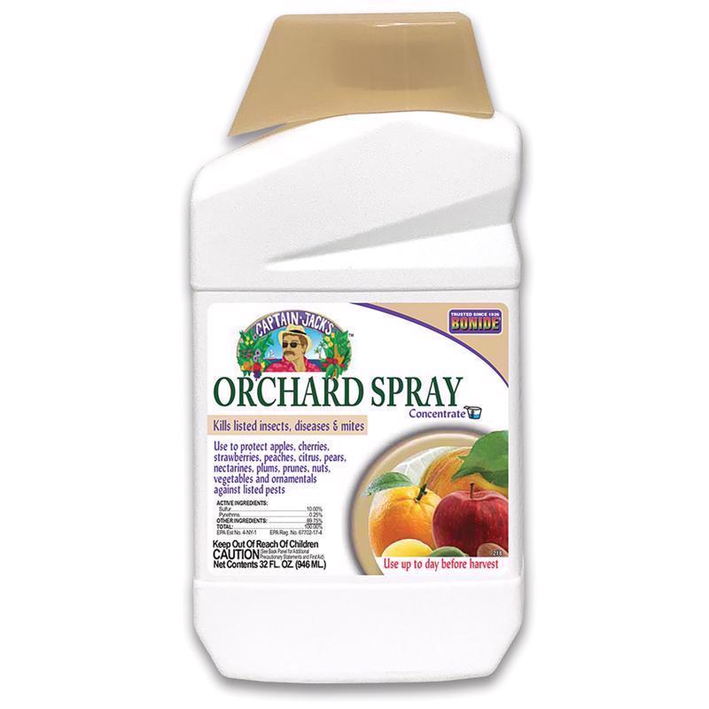 CITRUS FRUIT&NUT CON32OZ