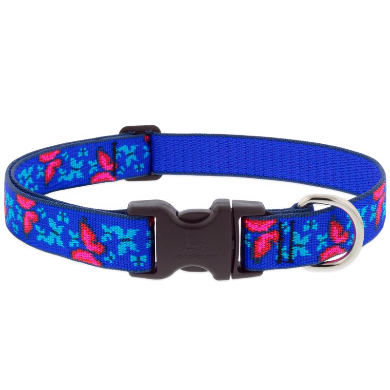 DOG COLLAR 16-28" BTRFLY
