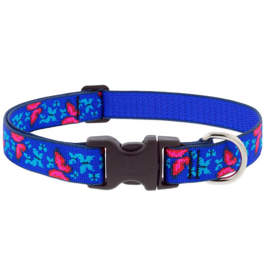 DOG COLLAR 16-28" BTRFLY