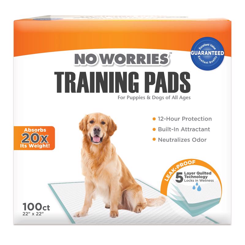 PET TRAINING PAD 100PK