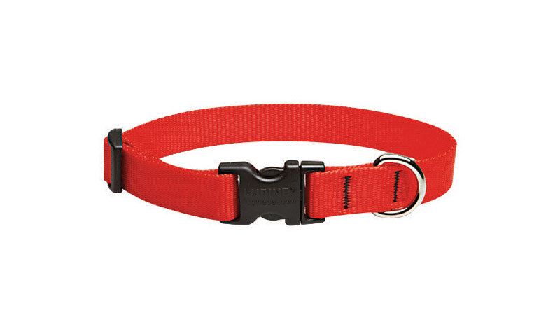 DOG COLLAR 9-14"RED ADJ