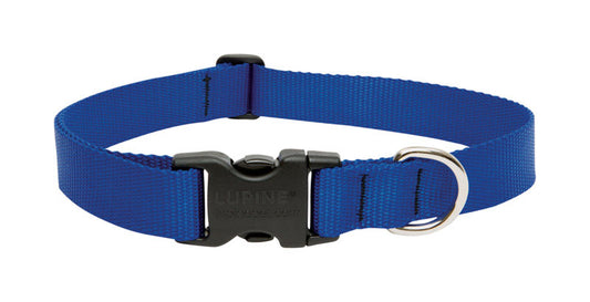 DOG COLLAR 12-20"BLU ADJ