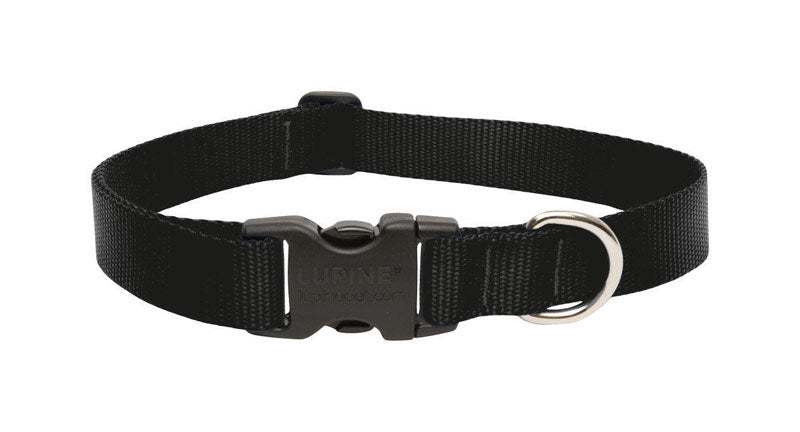 DOG COLLAR 12-20"BLK ADJ