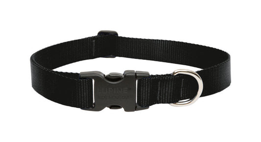 DOG COLLAR 16-28"BLK ADJ
