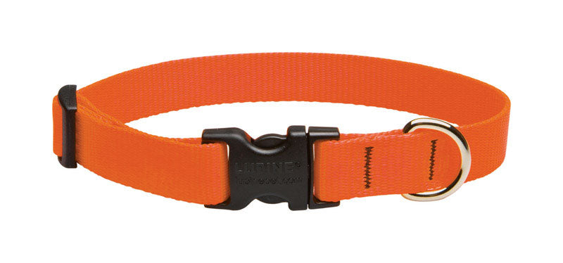 DOG COLLAR 9-14"ORG ADJ
