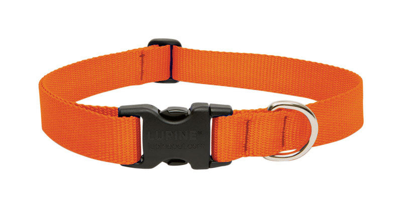 DOG COLLAR 16-28"ORG ADJ