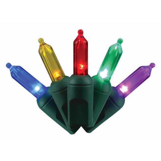 PLAT T5 LIGHTS 50CT MU
