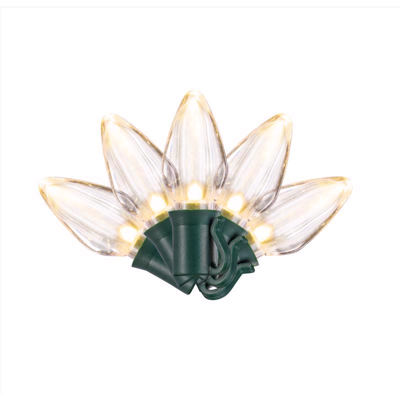 PLAT C7 LIGHTS 50CT WW T