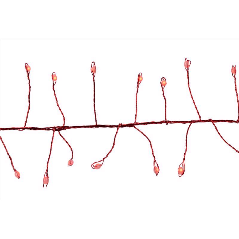CLSTR LED LGHT RED 250CT