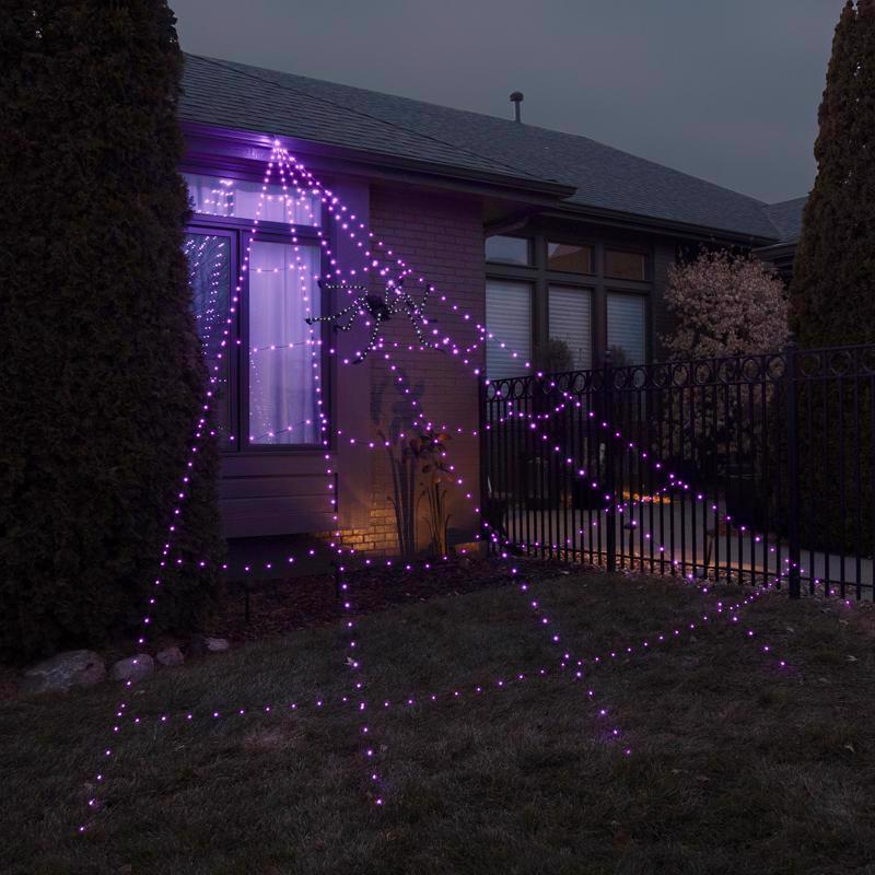 HANG SPIDER PURPLE 16'