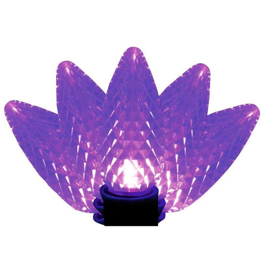 LGHT BLBS C9 PUR 25CT